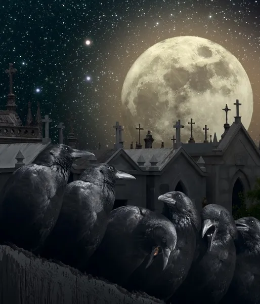 Noche de los cuervos — Foto de Stock