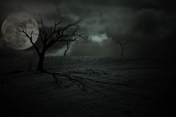 Halloween Landscape — Stock Photo, Image