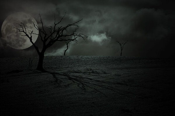 Halloween dark scenery with naked trees, full moon and clouds