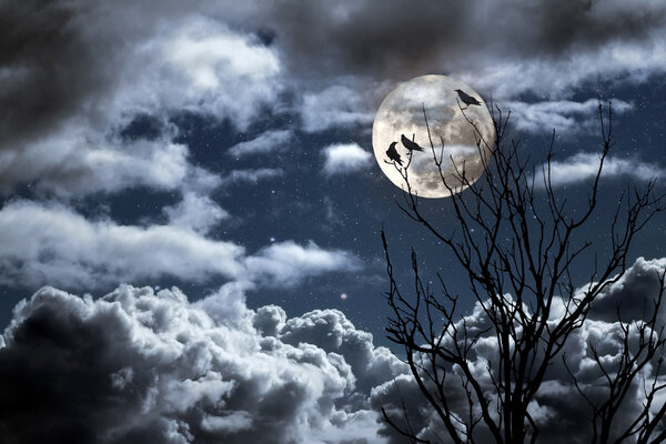 Photo composition with full moon, part of a naked tree, clouds and crow that can be used for halloween