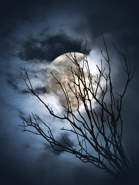 Full moon shining through the clouds and branches