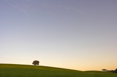 Şafakta düz Alentejo