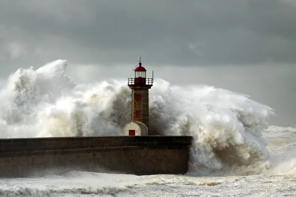 Winderige kust — Stockfoto