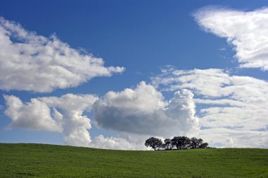 Alentejo düz