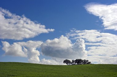 Alentejo plain clipart