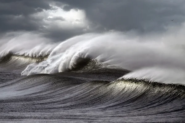 Штормовые волны — стоковое фото