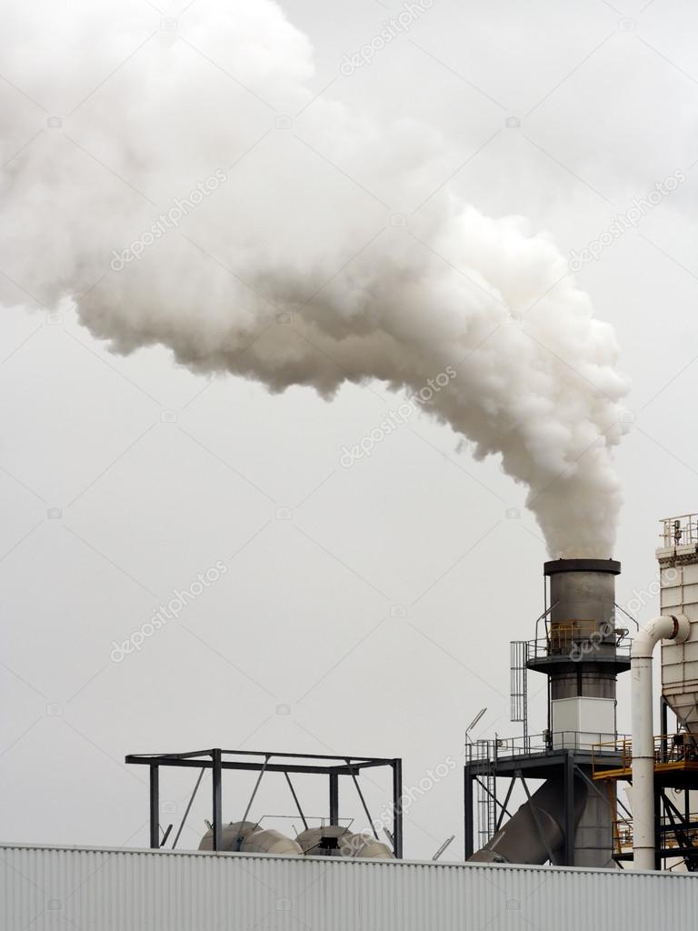 Industrial plant chimney