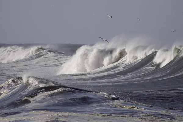 Бурхлива хвилі — стокове фото
