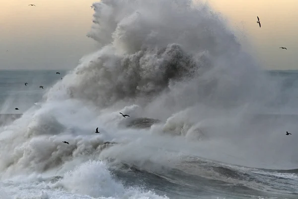 Ondas tempestuosas — Fotografia de Stock