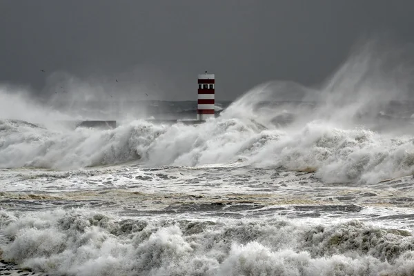 Windy coast — Stock Photo, Image