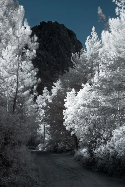 Infrared mountain road