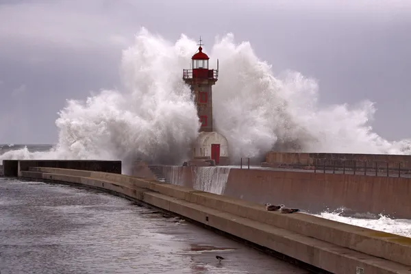 Stor stormande våg — Stockfoto