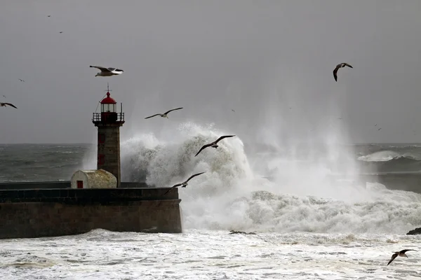 Tempesta — Foto Stock