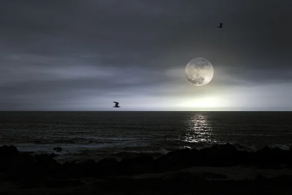 Playa de luna llena — Foto de Stock