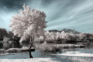 Kızılötesi nehir manzara