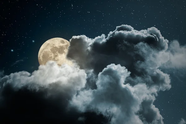 Full moon night — Stock Photo, Image