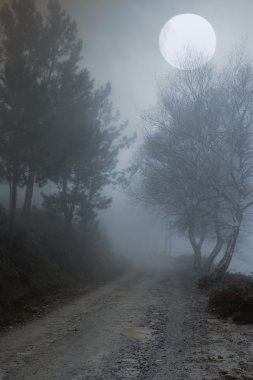 Boşluk