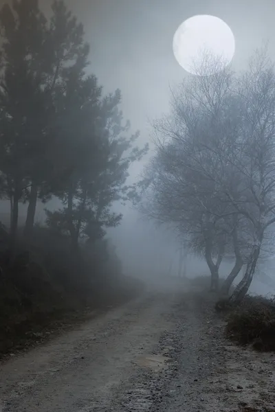 Boşluk