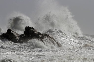 Dalgalar dalgalı bir deniz gününde sıçrıyor