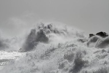 Dalgalar dalgalı bir deniz gününde sıçrıyor