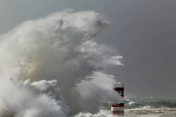 Énorme Tempête Mer Vague Éclaboussure — Photo