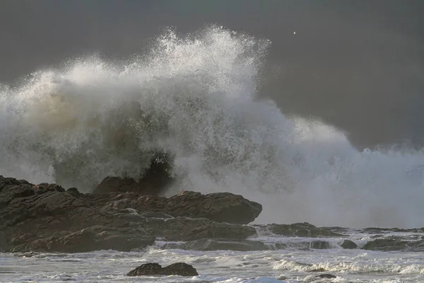 Καταιγίδα Στην Ακτή Seig Μεγάλο Κύμα Σπάζοντας Πάνω Από Βράχους — Φωτογραφία Αρχείου