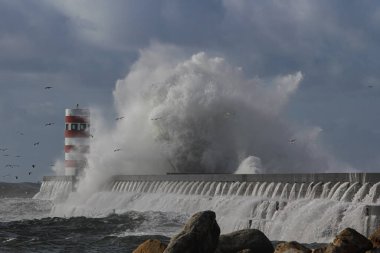Büyük fırtınalı deniz dalgaları, Kuzey Portekiz.