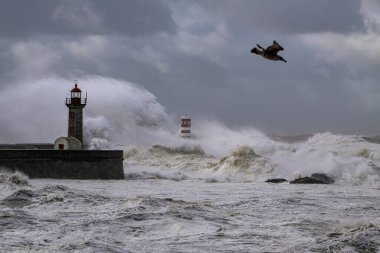Büyük fırtınalı deniz dalgaları Douro nehrinin ağzına sıçrıyor..