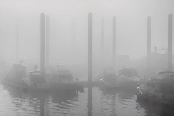 Uno Dei Porticcioli Del Fiume Douro Durante Una Mattinata Nebbiosa — Foto Stock