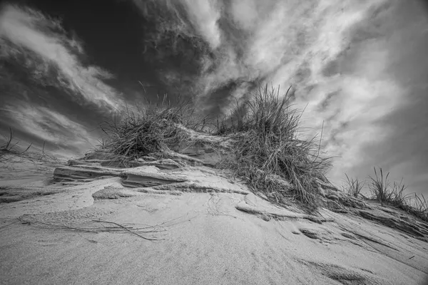Black and white sand dune with a tuft of grass against a cloudy sky.