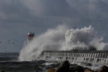 Büyük fırtınalı deniz dalgaları, Kuzey Portekiz.