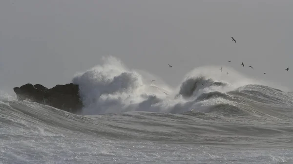 Grandes Ondas Marinhas Sobre Penhascos Norte Costa Portuguesa — Fotografia de Stock