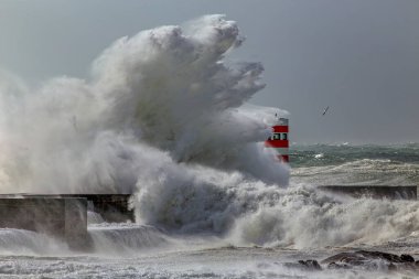 Büyük fırtınalı dalga sıçraması. Douro nehri ağzı Yeni kuzey rıhtımı, Porto, Portekiz