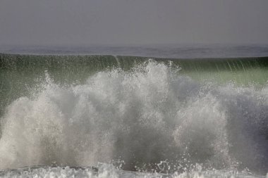 Büyük dalgalar yaklaşıyor. Kuzey Portekiz kıyıları.