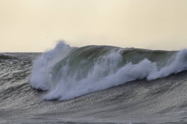 Gün batımında kışın deniz manzarası Büyük dalgalar görüyor.