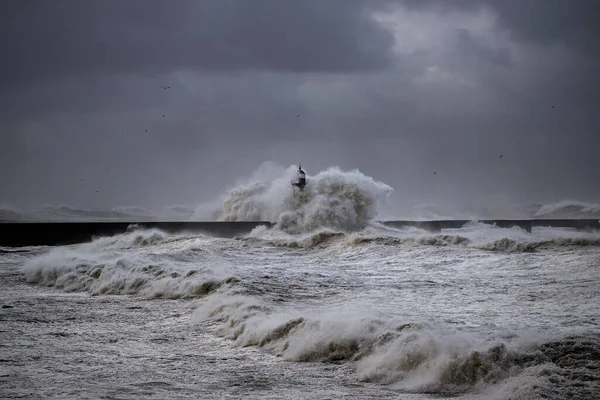 Fırtınalı dalga, Douro nehrinin ağzında kara bulutlu gökyüzüne sıçrıyor, Porto, Portekiz