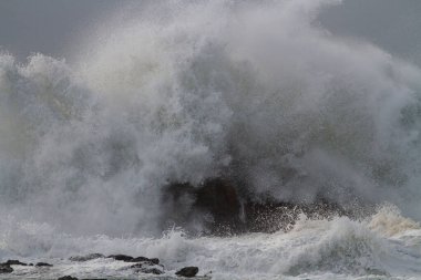 Büyük fırtınalı dalga sıçraması. Kuzey Portekiz kayalık kıyıları.