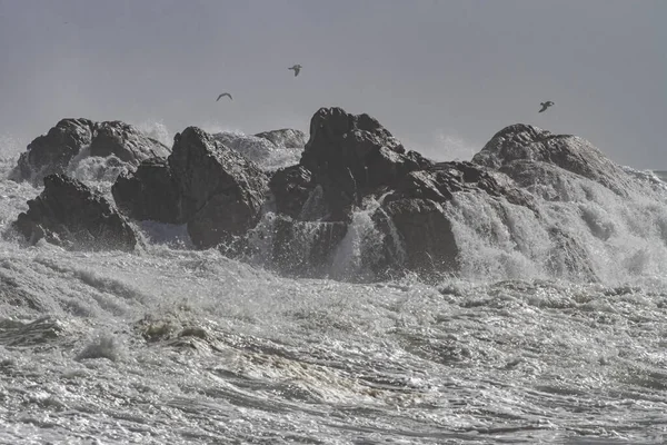 Zeerots Overstroomd Door Stormachtige Golven Noord Portugese Rotskust — Stockfoto