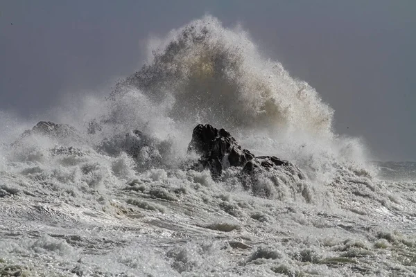 Grote Golf Plons Een Ruwe Zee Dag — Stockfoto