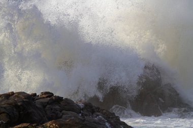 Büyük fırtınalı dalga sıçraması. Kuzey Portekiz kayalık kıyıları.