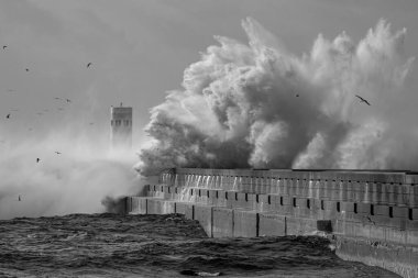 Fırtınalı deniz dalgası sıçraması. Kullanılmış kızılötesi filtre. Douro nehri ağzı, Porto Portekiz.