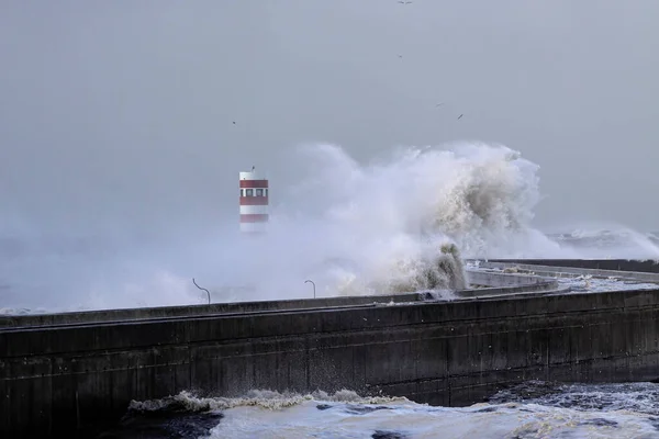 Douro Flod Mun Brygga Och Fyr Stark Storm Ser Våg — Stockfoto