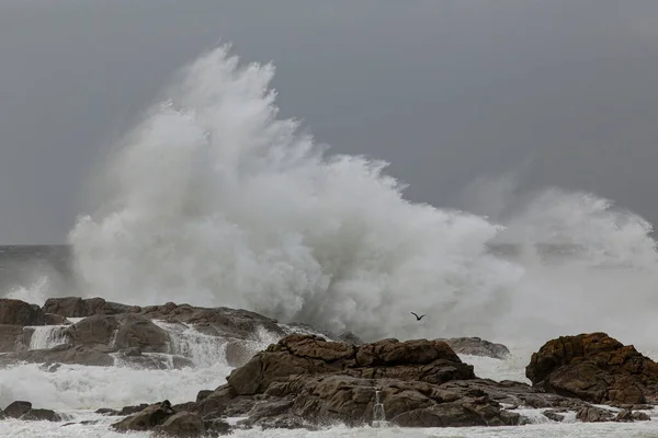 大きな嵐の海の波のスプラッシュ ポルトガル北部の岩場海岸 — ストック写真