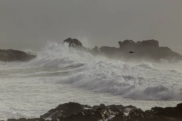 Megtörni Hullámokat Egy Ködös Délutánon Észak Portugál Sziklás Part — Stock Fotó
