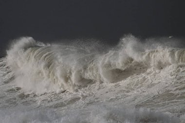 Fırtınalı bir günde büyük bir dalga. Kuzey Portekiz kıyıları.