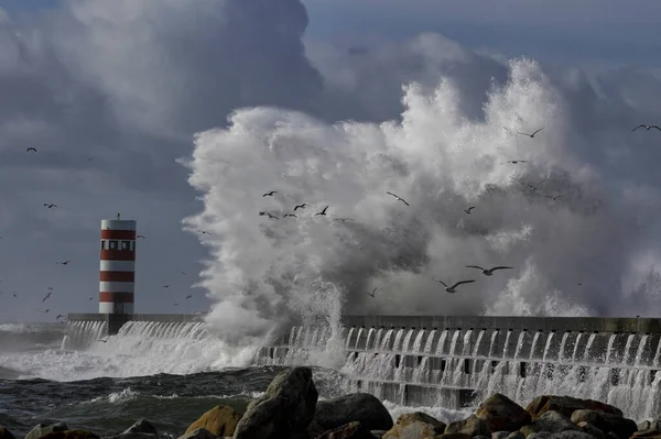 Big Stormy Sea Wave Splash Douro River Mouth North Pier — Stock Photo, Image