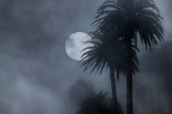 Palmeras Una Noche Nublada Luna Llena —  Fotos de Stock