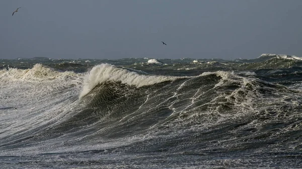 Una Gran Ola Día Tormentoso Costa Norte Portuguesa —  Fotos de Stock