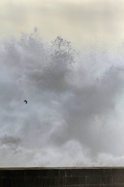 Büyük fırtınalı dalgalar sıçradı ve püskürtüldü. Nemle filtrelenmiş ilginç bir ışık.