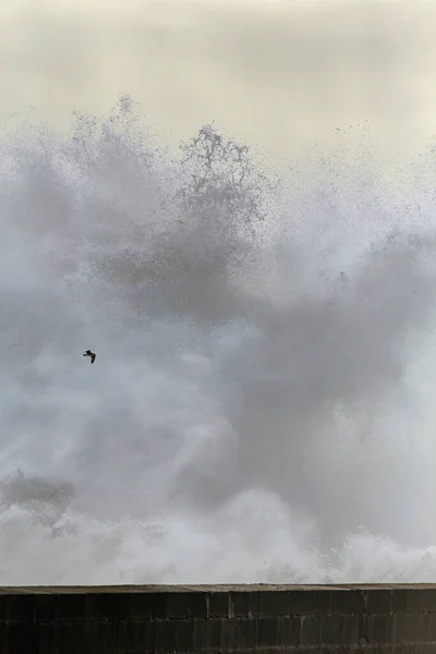 Grote Stormachtige Golf Plons Spray Interessant Licht Gefilterd Door Vocht — Stockfoto